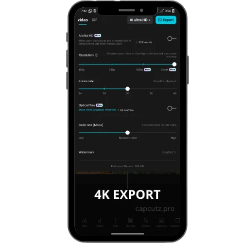 4K Export
